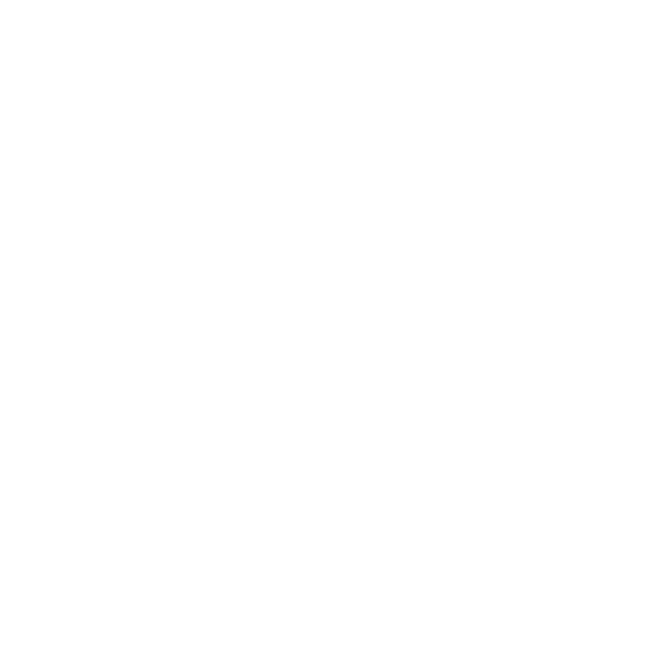 CNS Center Logo