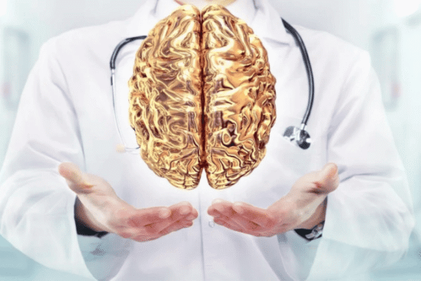 Doctor holding brain model illustrating BDNF neuroplasticity and brain health at CNS Brain Center in Chicago